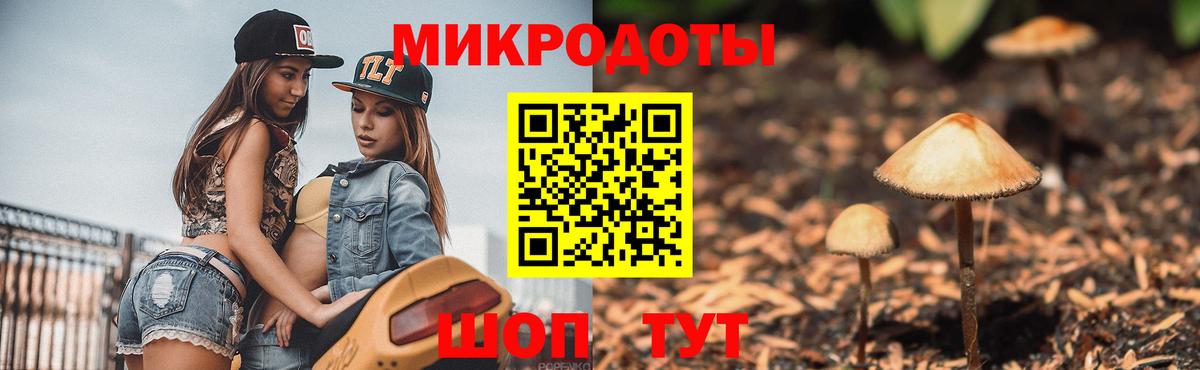 Сибай  Псилоцибиновые грибы Psilocybe  Вход с VPN 